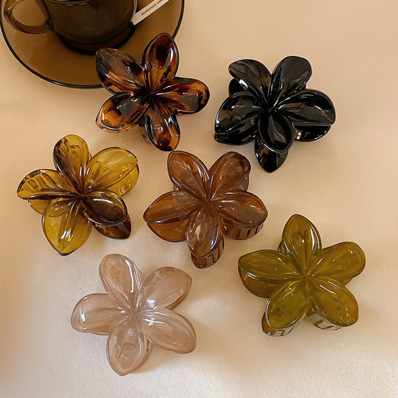 Women's Large-Size 8cm Brown B - đánh giá và giá Hair Clip Claw Large