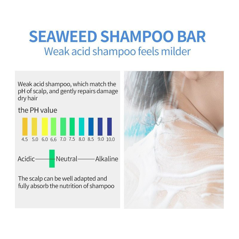 PURC Seaweed Shampoo Bar Code  - đánh giá và giá Hair Care Japanese